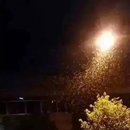 白蟻危害大，4-6月份進(jìn)入其活躍期 防治白蟻不容忽視！